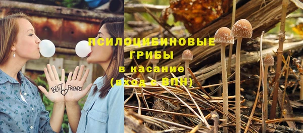 дмт Баксан