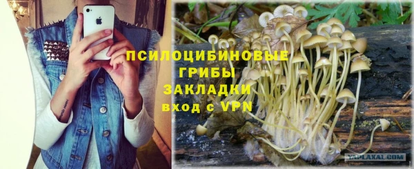 spice Балахна