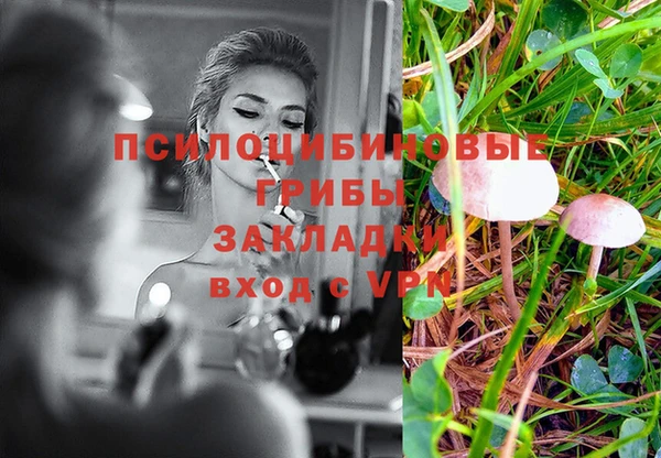 spice Балахна