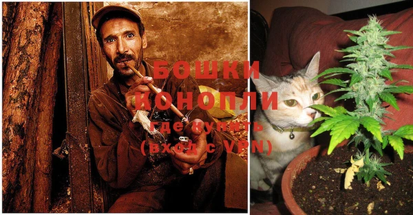 spice Балахна