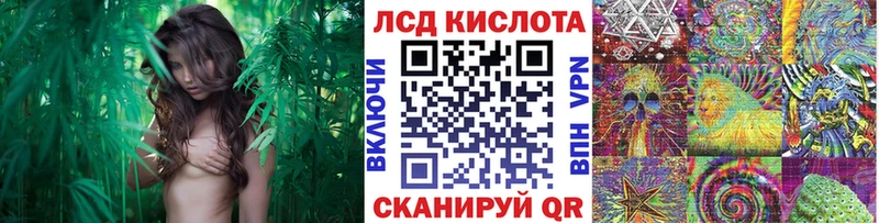 Марки NBOMe 1,5мг  Соль-Илецк 