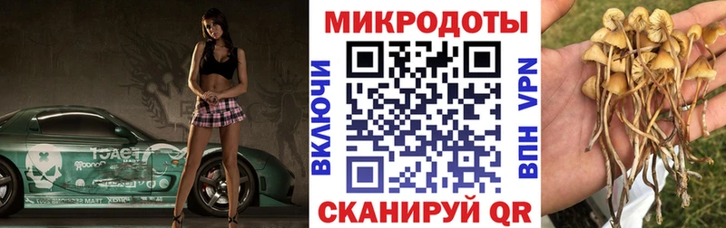 кракен сайт Соль-Илецк Галлюциногенные грибы MAGIC MUSHROOMS